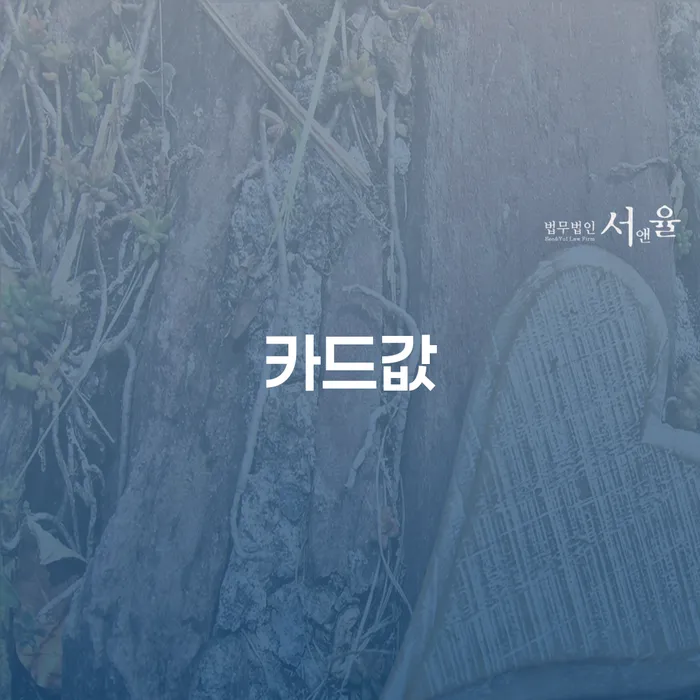 파산선고일 개인회생 처리방법 노하우
