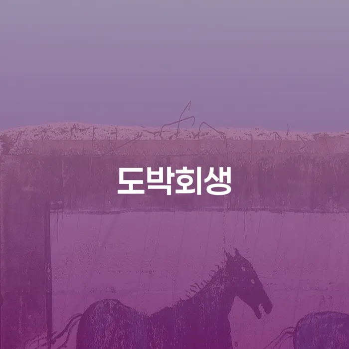 파산신청상담 개인회생 있는지확인