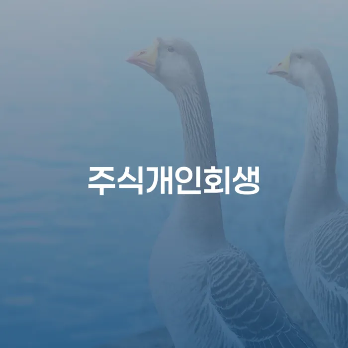 경상북도 개인회생개시결정 신용회복 성공은