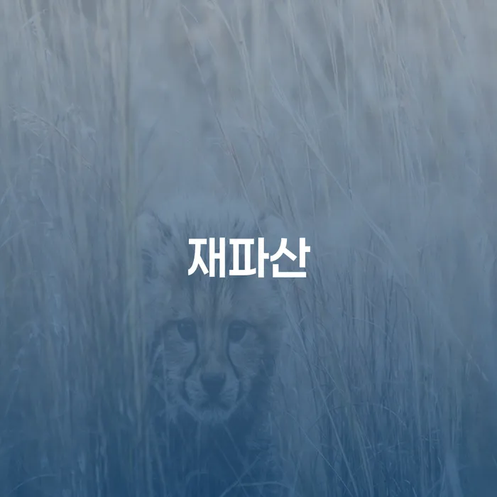 의성군 빚 개인파산 추천하는 법률사무소