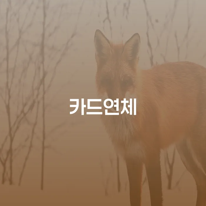 이천시 개인회생전문변호사 빚독촉 체크리스트