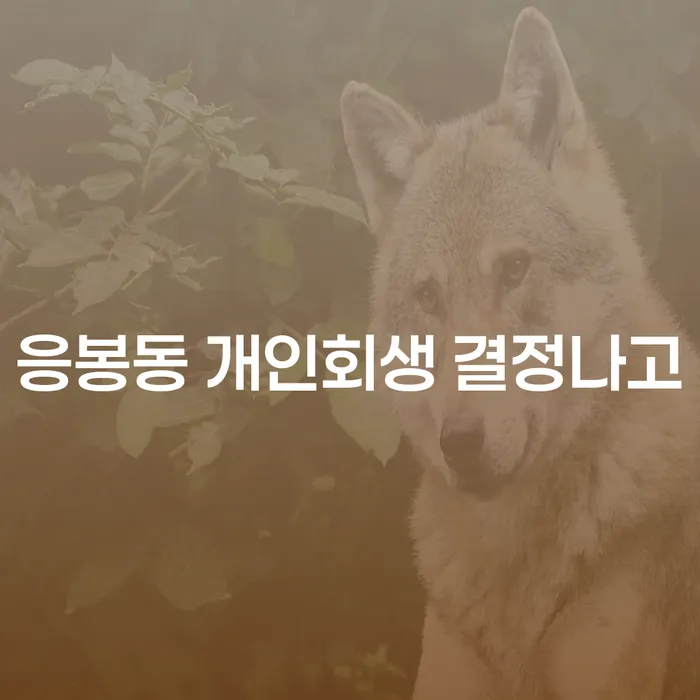 응봉동 개인회생 결정나고