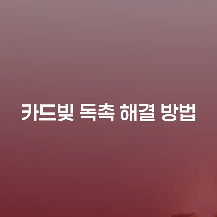 2000만원 카드빚 독촉, 해결 방법은 무엇인가요?