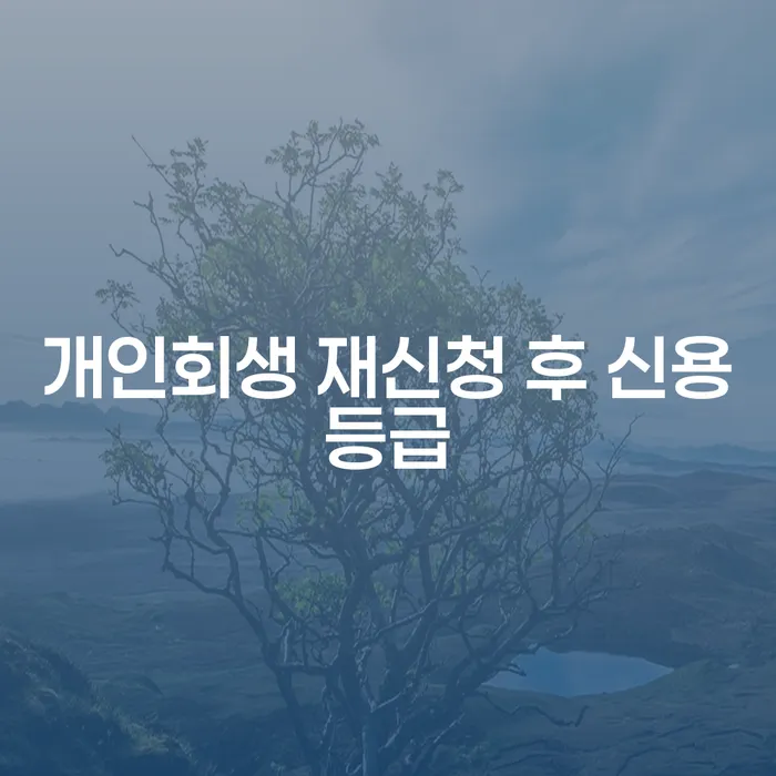 개인회생 재신청 후 신용등급은 어떻게 변할까요?