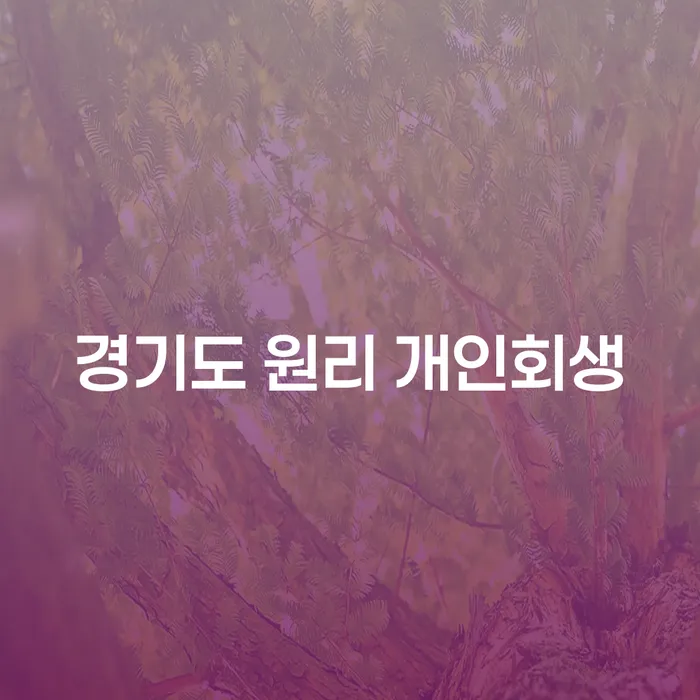 경기도 원리 개인회생: 어떻게 시작할 수 있을까요?