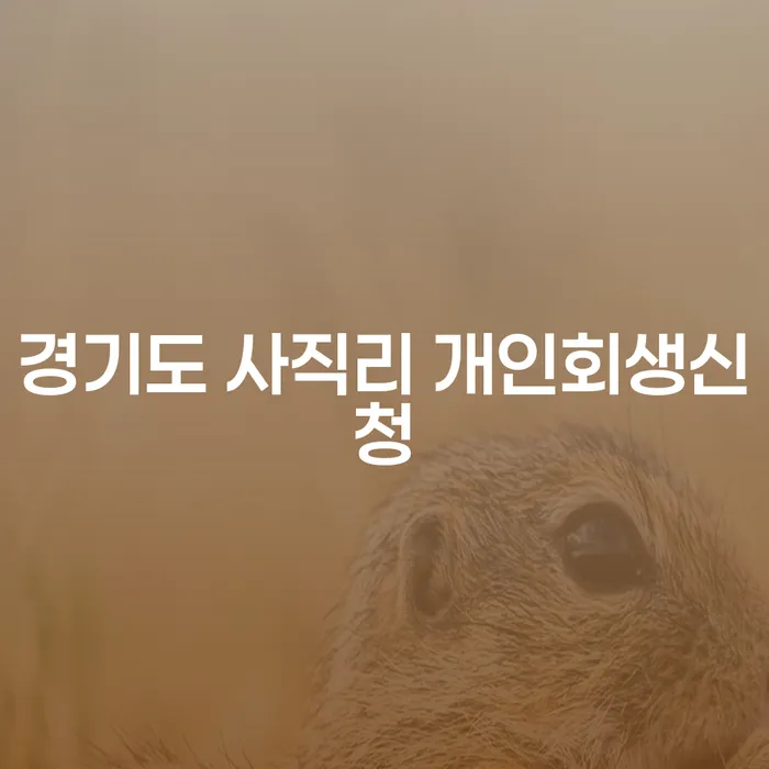 경기도 사직리 개인회생신청, 어떻게 시작해야 할까요?