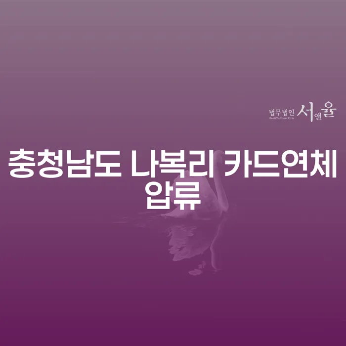 충청남도 나복리 카드연체압류 문제, 어떻게 해결할 수 있을까요?
