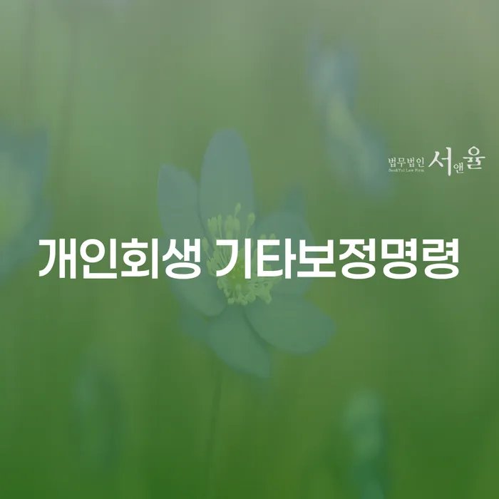 개인회생 기타보정명령, 무엇이 궁금한가요?